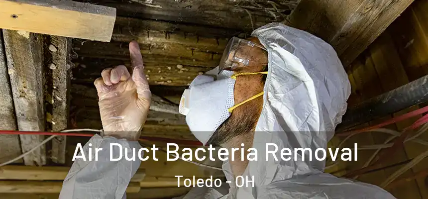 Air Duct Bacteria Removal Toledo - OH