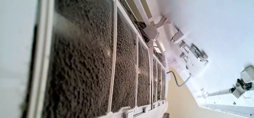 Preventive Air Duct Bacteria Removal in Toledo