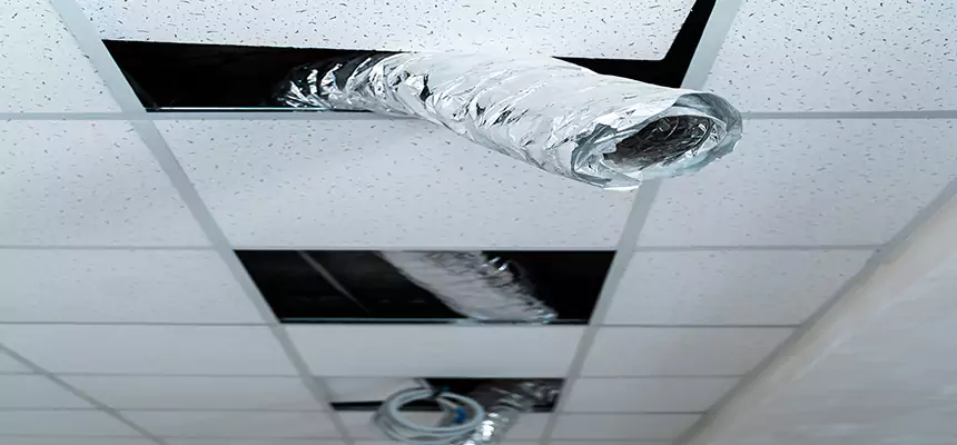 Our Air Duct Pet Hair Removal Services in Toledo, OH