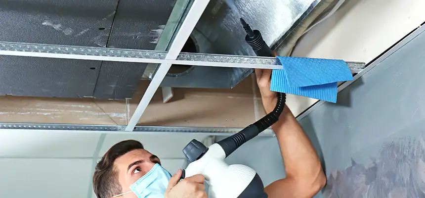 Our Air Duct Rodent Removal Services in Toledo, OH