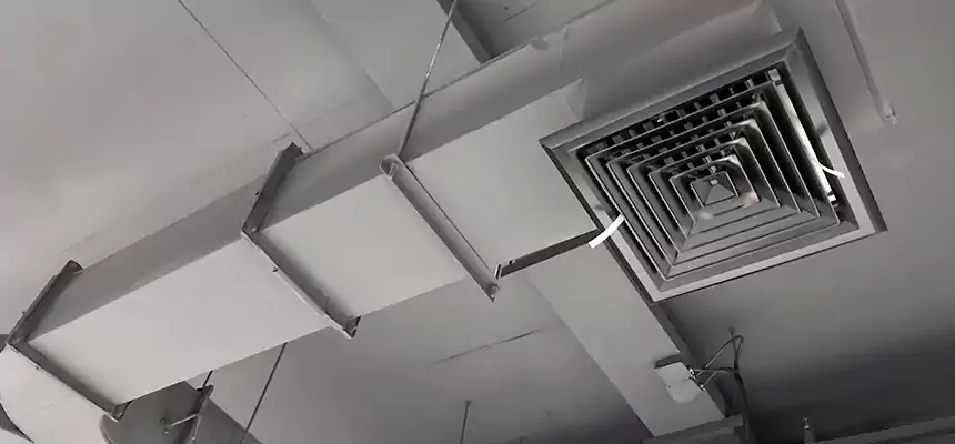 Restorative Allergy Relief Vent Cleaning – Coil, Blower & Housing Detail in Toledo