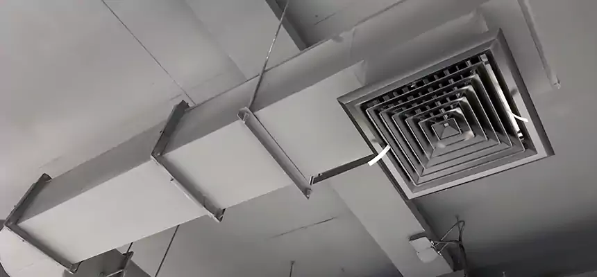 Our Pest Removal From Ducts Services in Toledo, OH