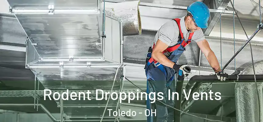  Rodent Droppings In Vents Toledo - OH