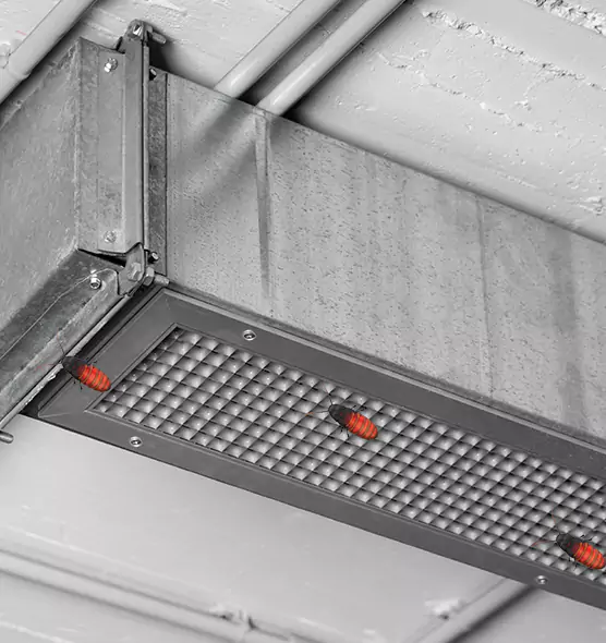 Affordable Insect Removal from Air Ducts in Toledo, OH