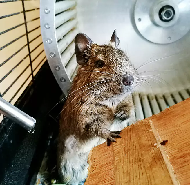 Why Homeowners & Businesses Trust Us Toledo, OH