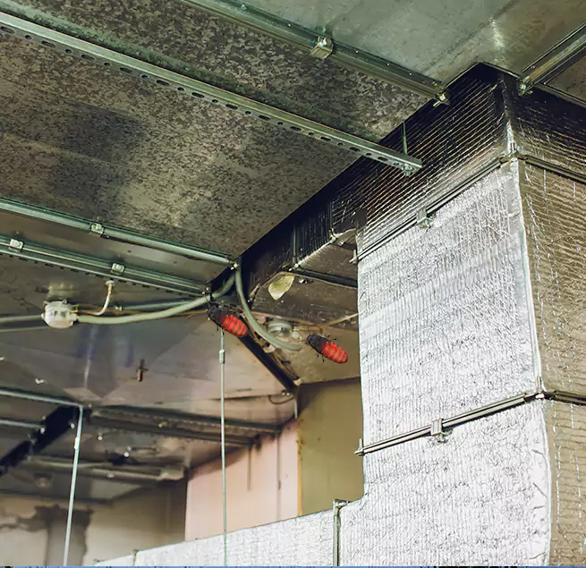 Why Homeowners & Businesses Trust Us Toledo, OH?