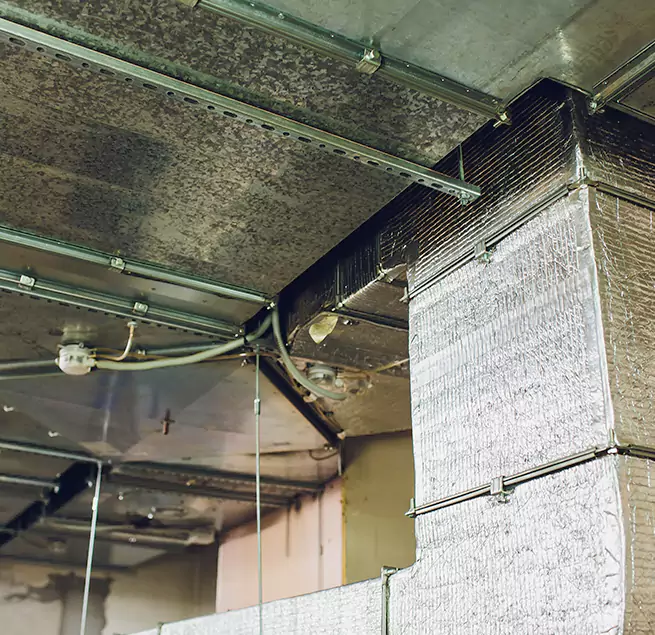 Why Homeowners & Businesses Trust Us in Toledo, OH?